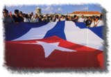 Bandera Cubana