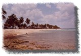 Playa Siboney