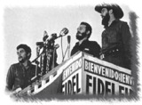 Los barbudos al poder